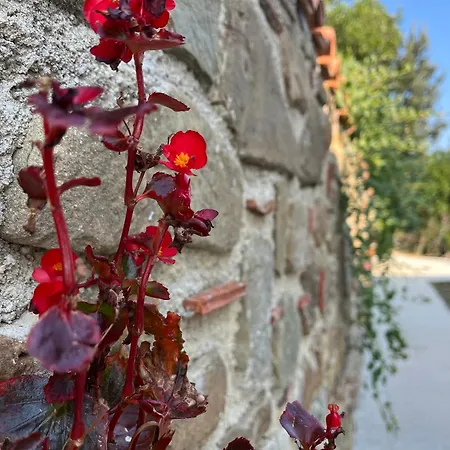 Upupa Rural Retreat - Casa ロッジ Sessa Cilento