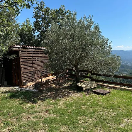 Upupa Rural Retreat - Casa Lodge Sessa Cilento